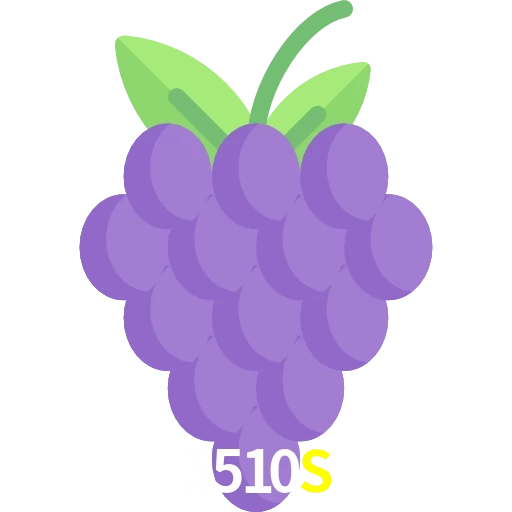 5510S
